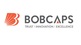 BOB Caps initiates coverage on Blue Star Limited
